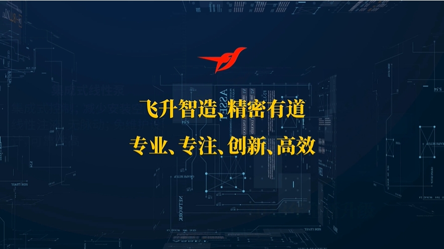 廣州飛升幾款注液泵快速介紹
